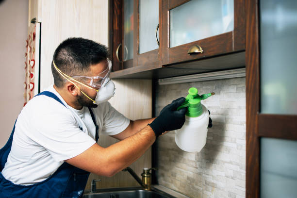 Best Pest Control Near Me in Salton City, CA