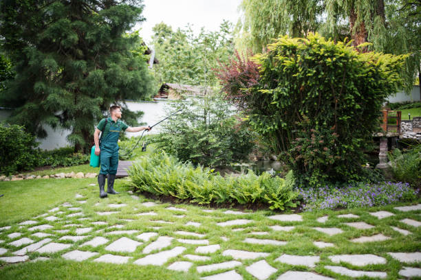Best Pest Inspection Near Me  in Salton City, CA