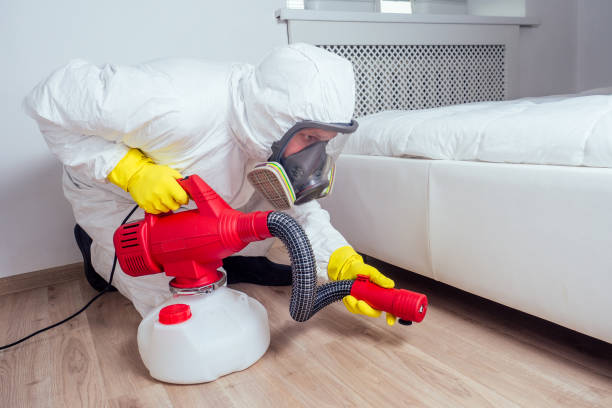 Best Residential Pest Control  in Salton City, CA