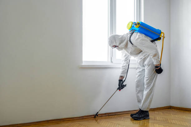 Best Best Pest Control Companies  in Salton City, CA