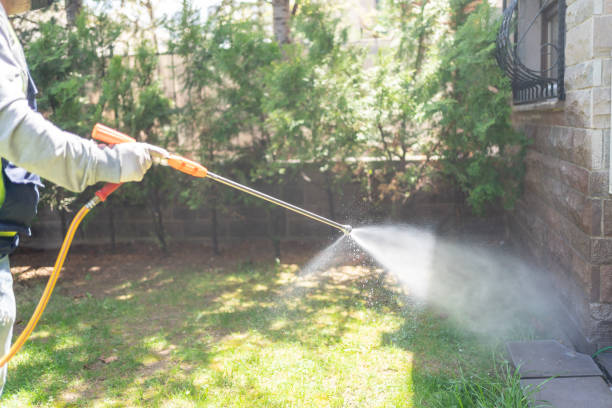 Best Local Pest Control Services  in Salton City, CA