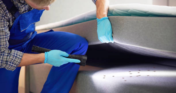 Best Termite Control Services  in Salton City, CA