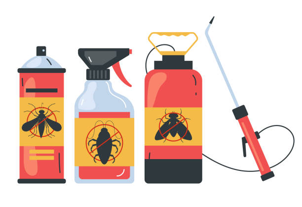 Best Affordable Pest Control Services  in Salton City, CA