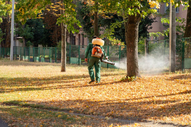 Best Pest Removal Services  in Salton City, CA