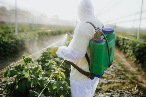 Flea Control Services in Salton City, CA